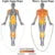 Heavy jump rope